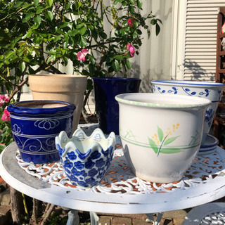 【 陶器製蘭鉢お買い得🌸 】まとめ売り😊
