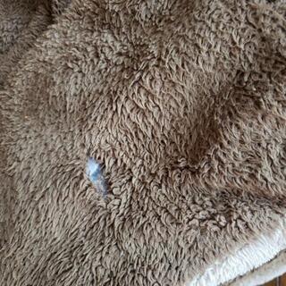 ニトリ長方形こたつ布団  無料の画像