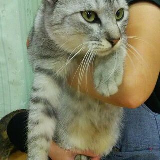 あまえんぼうの兄弟