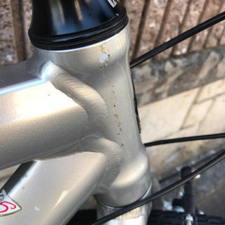 ビアンキ　Bianchi  カメレオンテ