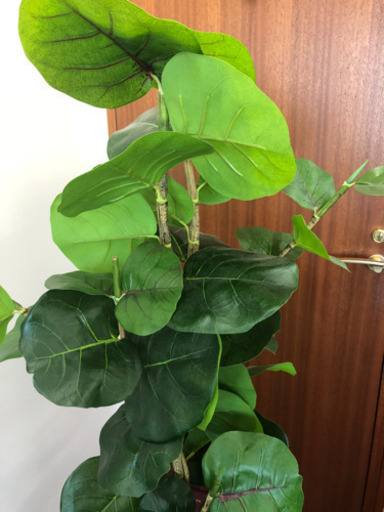 ニトリ人工観葉植物