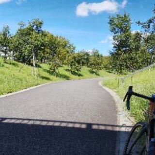 ロードバイク仲間募集