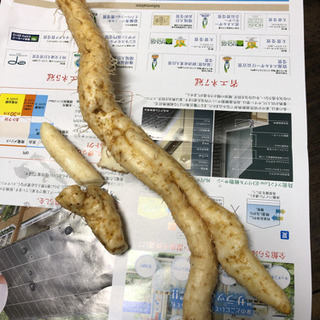 天然山芋