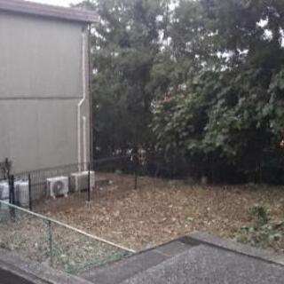 剪定 草刈り作業委託の画像