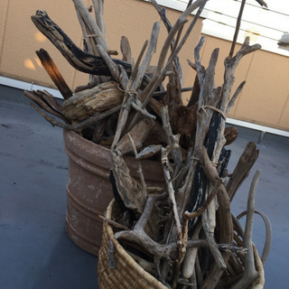 流木 良質な流木 熱湯処理済 大量  まとめ売り 流木アート アクアリウム 