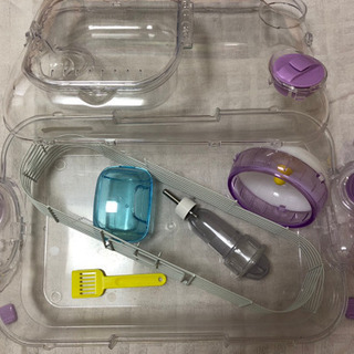 ハムスター飼育ケースと砂の画像