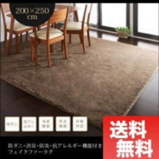 ふわふわ厚手ラグ