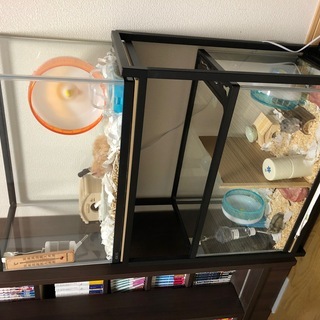 60cm水槽スタンド2段（スチール製）の画像