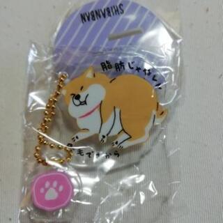 【新品】しばんばん　スタンド付きアクリルキーホルダーの画像