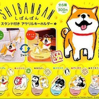 【新品】しばんばん　スタンド付きアクリルキーホルダー