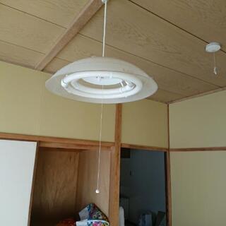 電気 3つ