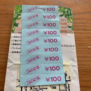 ピクニカ共和国　金券チケット900円分