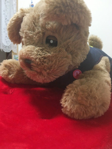おしゃべりダッキー　美品　※値下げ