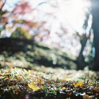 【11/30】フィルムカメラでフォトウォーク in 新城の廃線・紅葉撮影会 - 友達