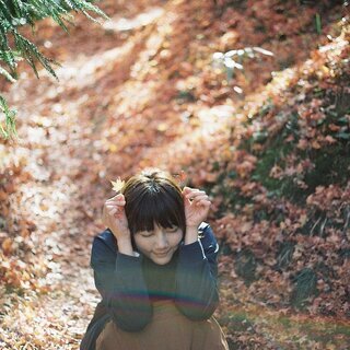 【11/30】フィルムカメラでフォトウォーク in 新城の廃線・紅葉撮影会 − 愛知県