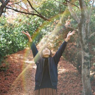 【11/30】フィルムカメラでフォトウォーク in 新城の廃線・紅葉撮影会 - メンバー募集