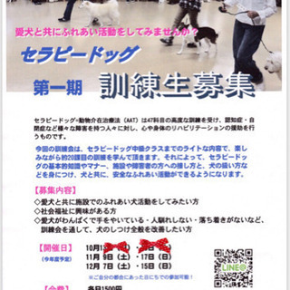 第3回　セラピードッグ訓練会