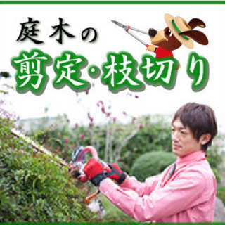 ★☆庭木の剪定・枝切り★☆見積もり無料