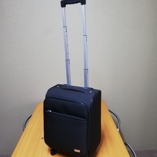 キャリーバッグの画像