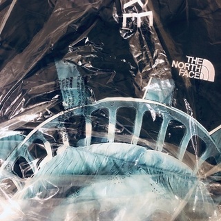 複数購入でお値引き！Supreme The North Face Statue of Liberty Baltoro Jacket シュプリーム ザ ノースフェイス スターチュー オブ リバティ バルトロ  ダウンジャケットの画像