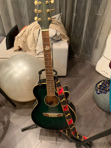 アコースティックギター Takamine Cooder
