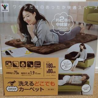 山善　洗えるどこでもカーペット