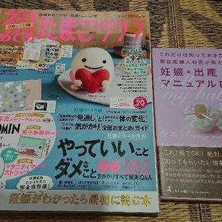 妊娠、出産マニュアルBOOK等