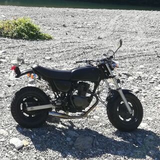 HONDA ape50 自賠責2年あり