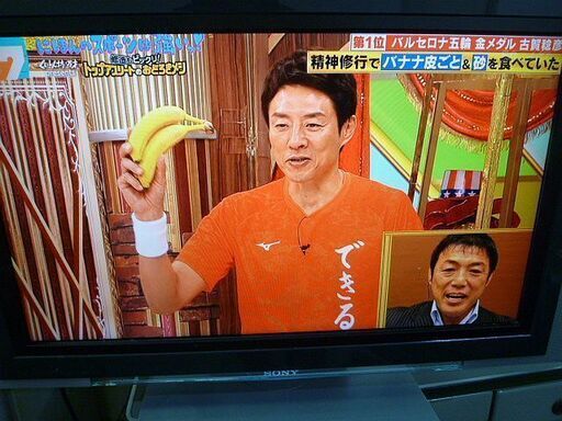 SONY ソニー テレビ KDL-L32HVX