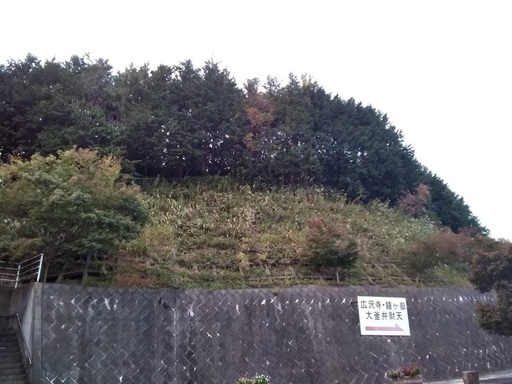 【直売】　売地　123坪　110万円　建物建築はできません