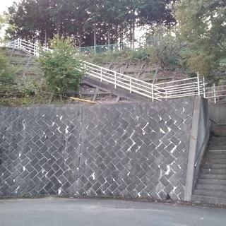 【ジモテｨー直売】大人の秘密基地　キャンプ・サバイバル用地に！　平坦123坪の山林です　コアな人向け　＜建物建築はできません＞ - 厚木市