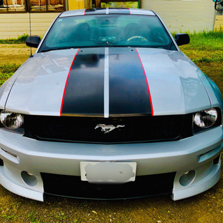 マスタングV6クーペ‼️