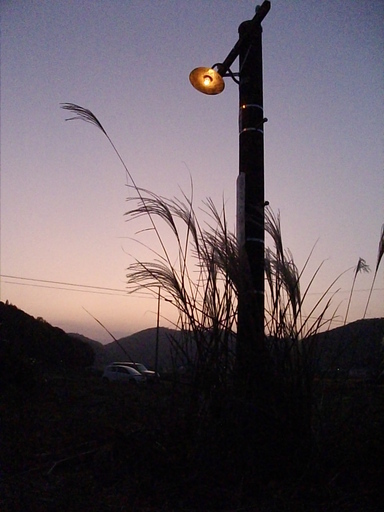 庭に昭和レトロな電柱（ランプ付き）は,いかがですか。 (一人親方) 万