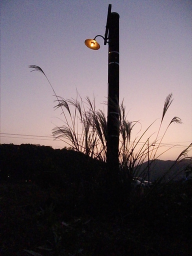 庭に昭和レトロな電柱（ランプ付き）は,いかがですか。 (一人親方) 万