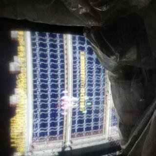 ダーウィン4078　アーケードゲームの画像