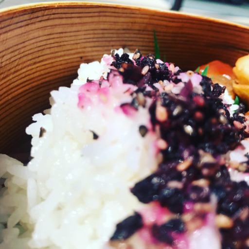 【新米】【地域最安】宮若産　夢つくし