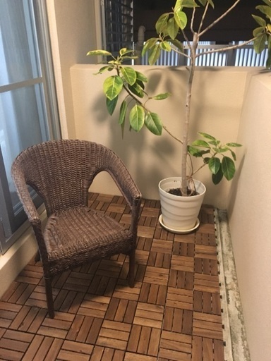 ラタンチェア