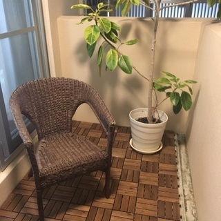 ラタンチェア