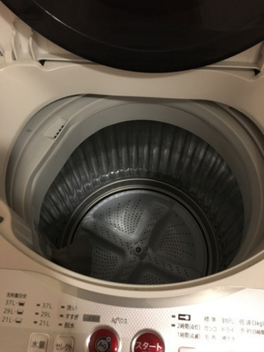 シャープ  美品 洗濯機