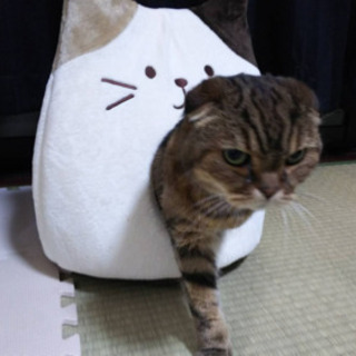 グルメ友達
