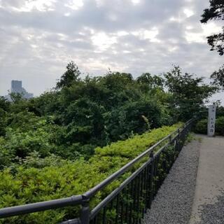 【人見知りやおとなしいかた集まりませんか⁉️】(現18名)