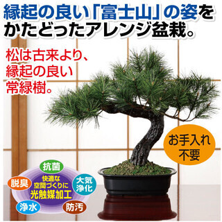 アレンジ盆栽 富士の松 インテリアグリーン フェイクグリーン 【新品】