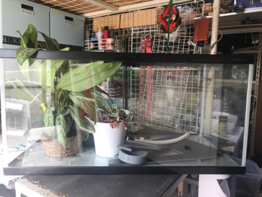 新古９０ニッソウ水槽