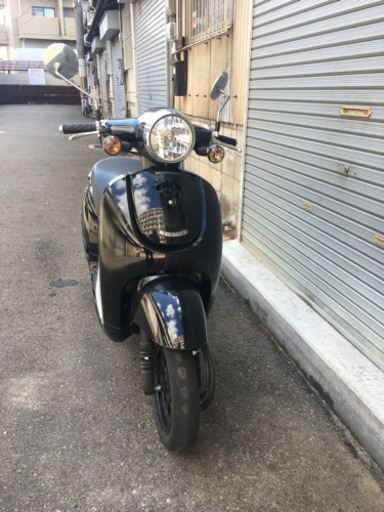 タイヤ前後新品ジョルノ新車からワンオーナー！
