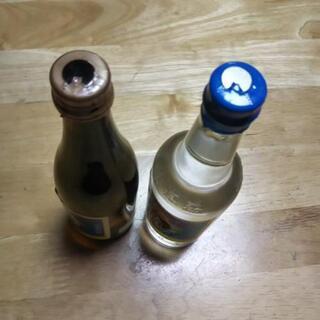 泡波  100ml   ２本セットの画像