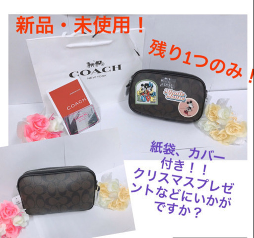 coachコラボディズニーポーチ