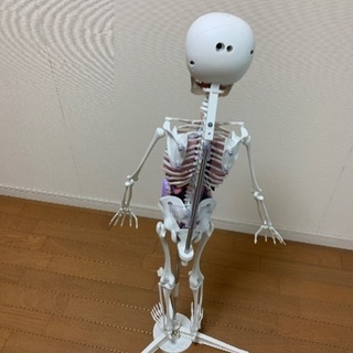ホネっキーの画像