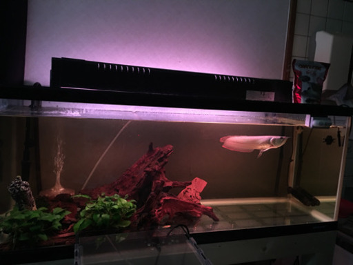 120水槽   お買い得