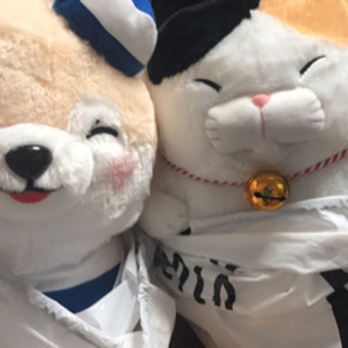 るいぐるみを好きの方　是非連絡してください - 横浜市