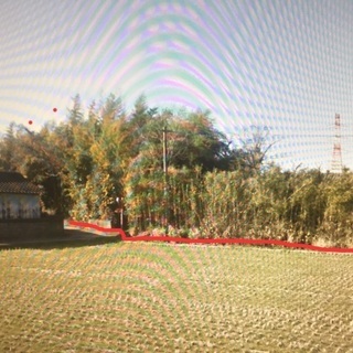 古家付き竹やぶの約３００坪弱の宅地